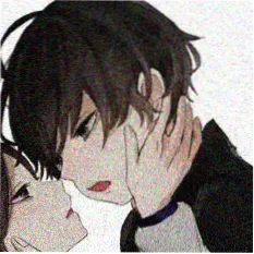 观众头像 半盏灯